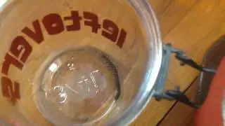 Hemiscolopendra marginata  (rehouse)