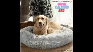 The Calming Bed 