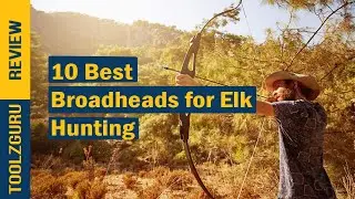 Best Broadheads for Elk Hunting In 2024