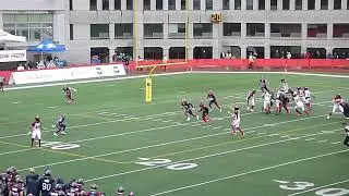 Ottawa Redblacks QB Dustin Crum throws a 14-yard TD pass to Sam Schnee vs. Montreal Alouettes 5/24