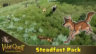 Dawning Summer | WolfQuest: The Steadfast Pack Season 3 #10