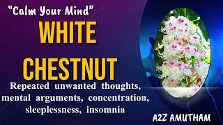 White Chestnut is the remedy for unwanted thoughts and mental arguments