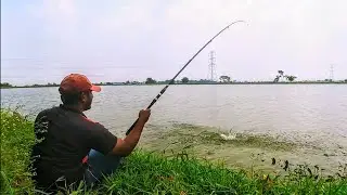 Fish hunting || Amazing big rohu fish catch