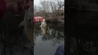 Winter fishing in Chicago 