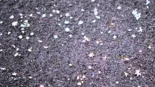 snowlapse