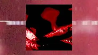 Guap Nauman - Investments