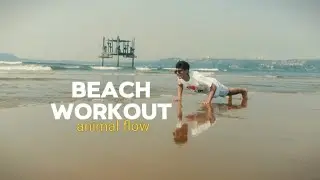 Move Like an Animal 🐾 | Beach Animal Flow for Strength & Mobility
