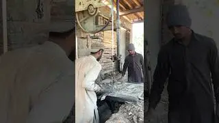 Vertical Wood Cutting Band Saw Machine in Action #machinery #feedshorts