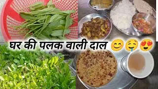 Ghr ke paalak wali dal #video #Nandinisingh