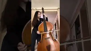 Dittersdorf Double Bass Concerto in E Major