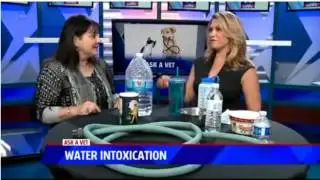 Dangers of Water Intoxication - Ask a Vet with Dr. Jyl