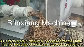 Poultry Feather Powder Production line