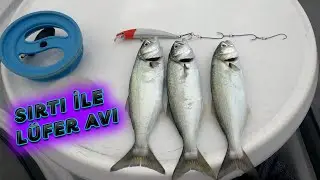 SIRTI İLE LÜFER AVI - LÜFER AVI NASIL YAPILIR ? KARADENİZ LÜFER AVI - LÜFER OLTASI NASIL KULLANILIR