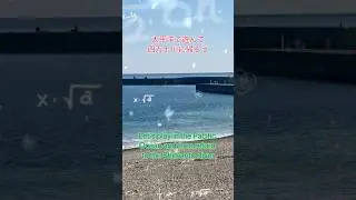 太平洋で遊んで四万十川に帰ろう Let's play in the Pacific Ocean and then return to the Shimanto River