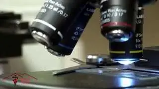 Video Marketing  for Veterinarians | Style 3:  General hospital tour
