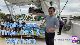 Cảng lên tôm - Bến thu mua tôm của người Viet | Tìm đối tác lam cá khô tôm khô