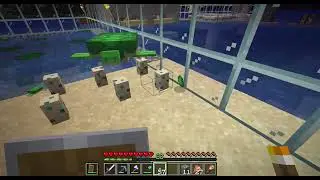 Watch Turtle Eggs Hatching and Baby Turtle Growing Up - Minecraft Java 1.19