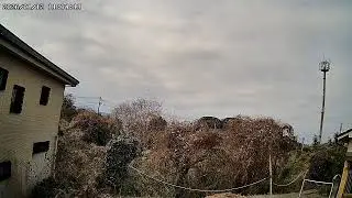鹿児島県鹿児島市吉野町ライブカメラ Kagoshima Yoshino Live camera.world.cam