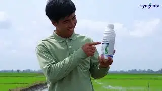 Baloric 310EC - Vũ kh&iacute; mới trong cuộc chiến chống cỏ dại tr&ecirc;n đồng l&uacute;a