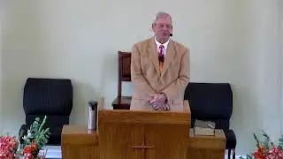 Weekly Live Stream