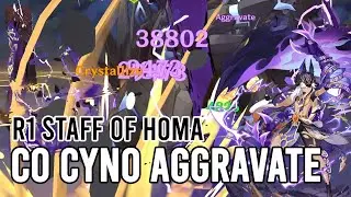 C0 Cyno Aggravate R1 Staff of Homa Quick Showcase | Genshin Impact