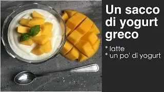 Tanto tanto tanto Yogurt greco fatto in casa / Много йогурта своими руками