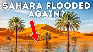 Flooded Sahara? Scientists Shocked as Desert Turns Into a Lake