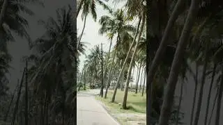 Beach vibes in Delta point #malpe #udupi #deltabeach #deltapoint #nature #deltalife #travel #road