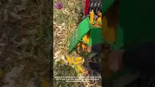 Corn Husking MAGIC! 🌽🤯 This Machine is UNBELIEVABLE! #FarmTech #Automation