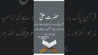 hazrat Ali/#hazrataliquotes #islamicstatus #quoteoftheday #aliquotes /Rah e Rahmat by Ayesha
