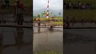 Lomba lintas bambu anak-anak