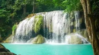 Nature Stock Video Footage for Free Download 5