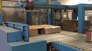 Castaldini Palettizer available for sale video celotti consulting