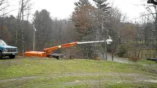 Asplundh cutting my rock maples in november 2011