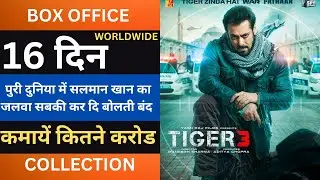 Tiger 3 Box Office Collection, Tiger 3 16th Day Collection, Tiger 3 17th Day Collection, Salman Khan