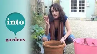 Planting a layered bulb pot