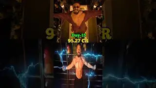 Baaghi 4 Collection Day 15