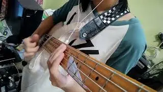 Squier Classic Vibe 50s P bass SLAP
