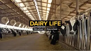 Dairy: Then/Now | Real California Milk