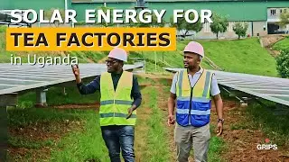 425 kWp and 499 kWp PV Plants for Tea Processing Factories in Uganda