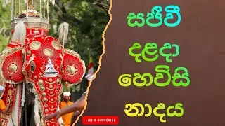 හෙවිසි නාදය: සිත් සන්සුන් කරන පූජනීය නාදය Kandy Hewisi Performance &ndash; Dalada Maligawa Highlight
