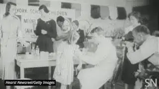 Saying good-bye to polio with the Salk vaccine | Science News