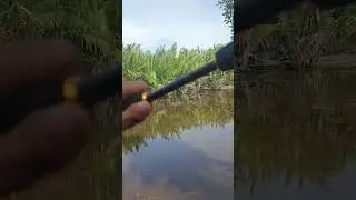 lika liku memancing boncos#shorts #mancing
