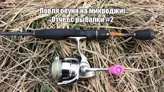 Ловля окуня на микроджиг. Отчет с рыбалки #2