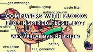 Computers with blood? Bio-inspired flesh-bots? Why are we making these?