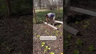 We're preparing the garden for tornadoes, hail, and high winds. Wish us luck!