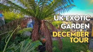 Tropical Style Garden Tour - December 2024