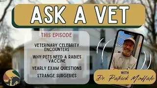 Ask A Vet with Dr. Patrick McHale