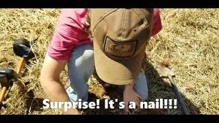 Metal Detecting - Nailed It!