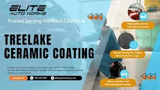 Elite Auto Works CA - Ceramic Coating Treelake